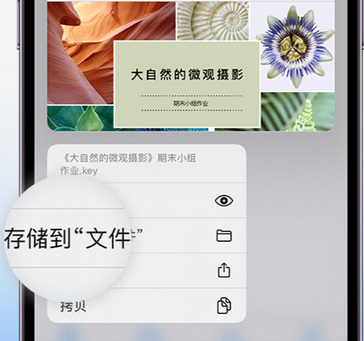 托里apple维修中心分享iPhone文件应用中存储和找到下载文件