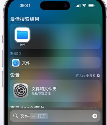 托里apple维修中心分享iPhone文件应用中存储和找到下载文件 