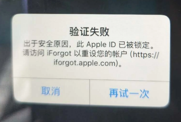 托里iPhone维修分享iPhone上正常登录或使用AppleID怎么办 