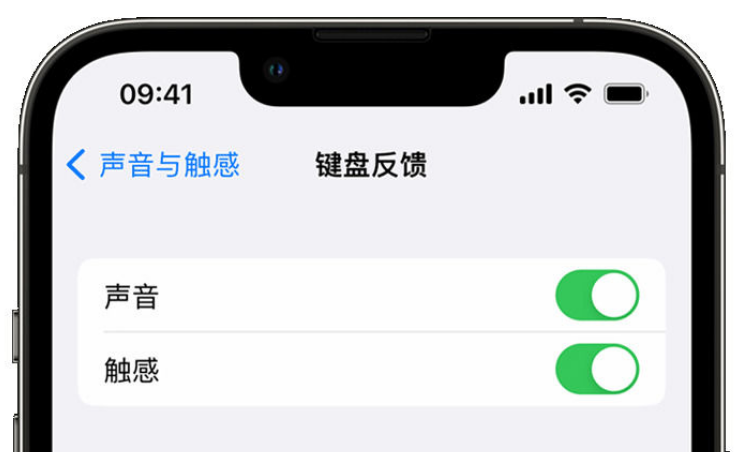 托里苹果手机维修分享iPhone 14触感键盘使用方法 