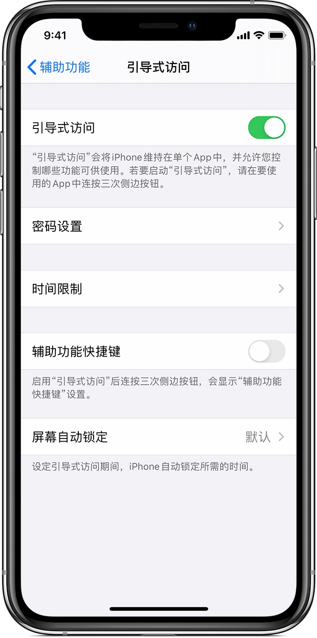 托里苹果手机维修分享如何在 iPhone 上退出引导式访问 