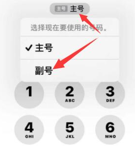 托里苹果14维修店分享iPhone 14 Pro Max使用副卡打电话的方法 