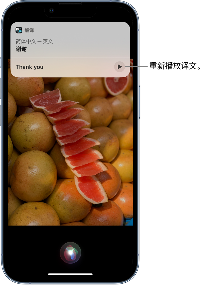 托里苹果14维修分享 iPhone 14 机型中使用 Siri：了解 Siri 能帮你做什么 