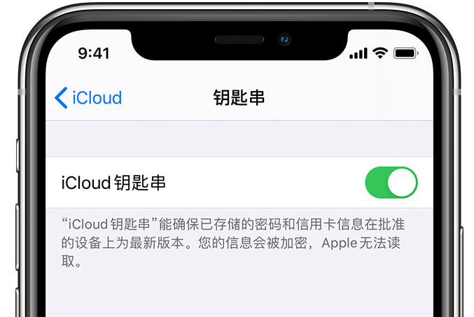 托里苹果手机维修分享在 iPhone 上开启 iCloud 钥匙串之后会储存哪些信息 