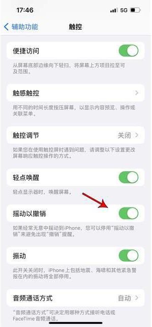 托里苹果手机维修分享iPhone手机如何设置摇一摇删除文字 